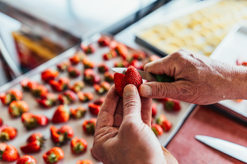 Ambachtelijk IJsbereider – IJskeuken Kennis van IJs